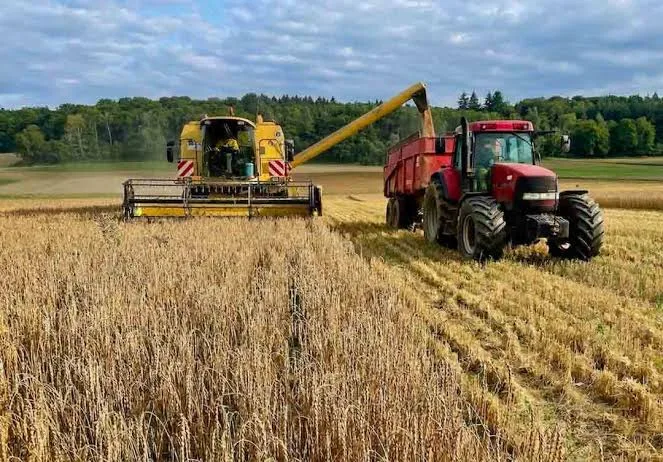 Valor del suelo agrícola acumula alzas de hasta 140% en regiones del sur de Chile